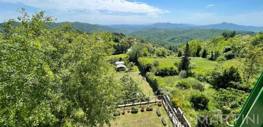 Appartamento con Orto, Cantina e Giardino