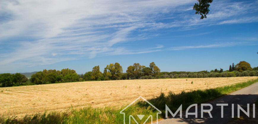 Terreno Agricolo in Vendita a Scarlino