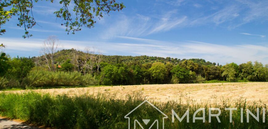 Terreno Agricolo in Vendita a Scarlino