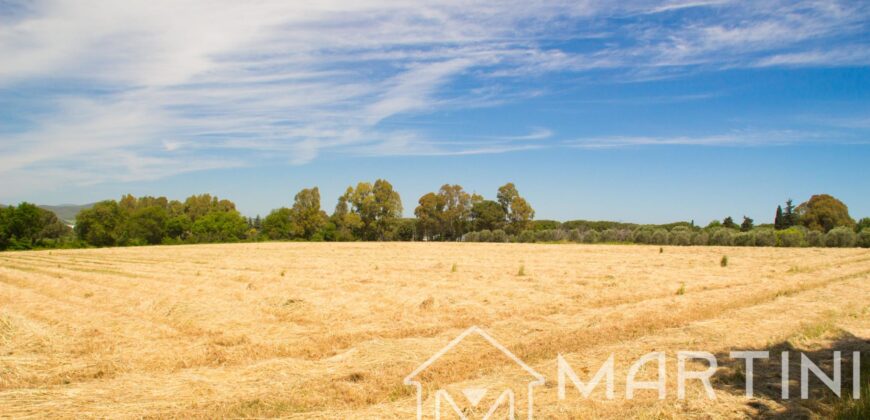 Terreno Agricolo in Vendita a Scarlino