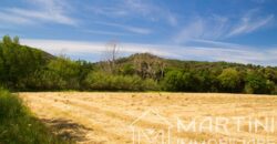 Terreno Agricolo in Vendita a Scarlino