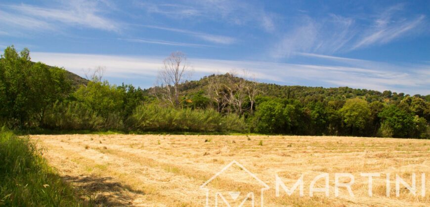 Terreno Agricolo in Vendita a Scarlino