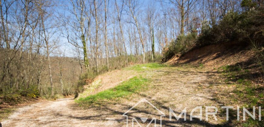 Casa in Campagna da Ristrutturare con Terreno