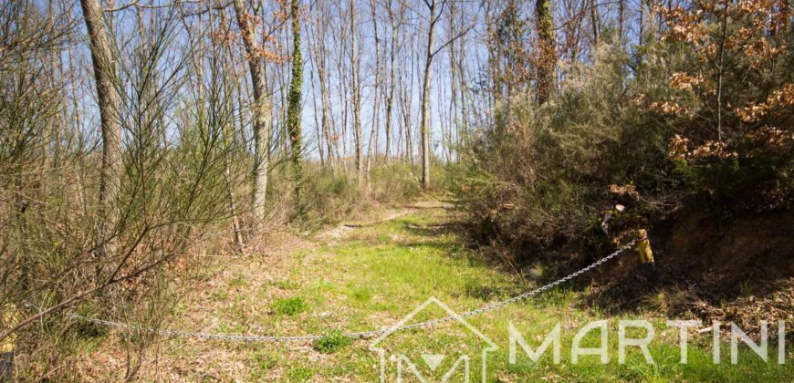 Casa in Campagna da Ristrutturare con Terreno