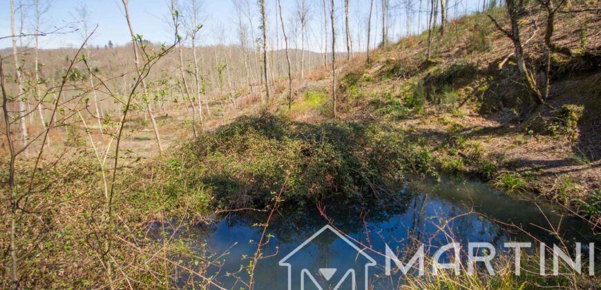 Casa in Campagna da Ristrutturare con Terreno