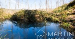 Casa in Campagna da Ristrutturare con Terreno