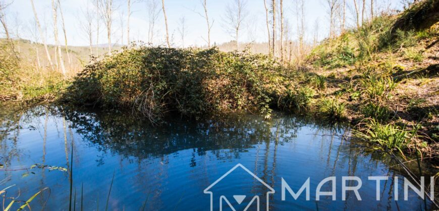 Casa in Campagna da Ristrutturare con Terreno