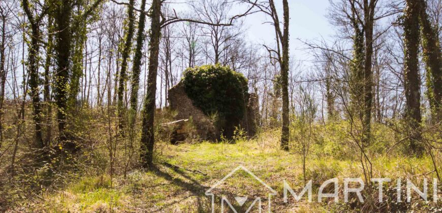 Casa in Campagna da Ristrutturare con Terreno