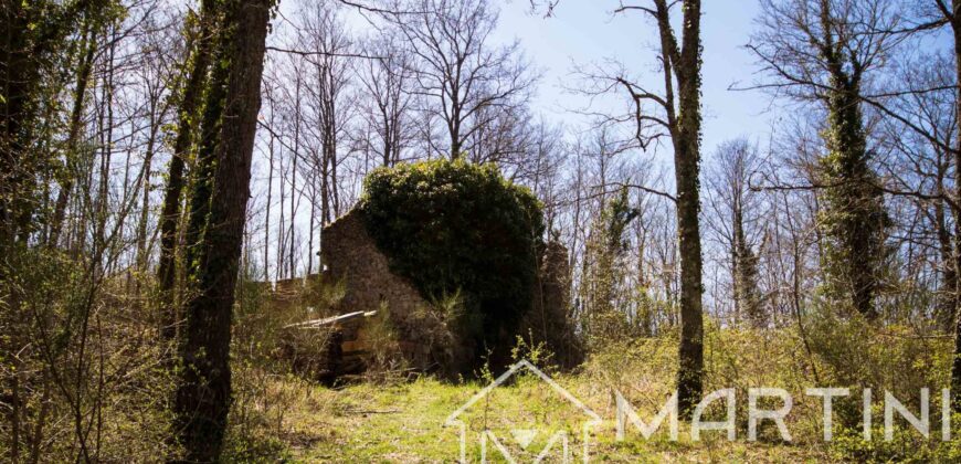 Casa in Campagna da Ristrutturare con Terreno