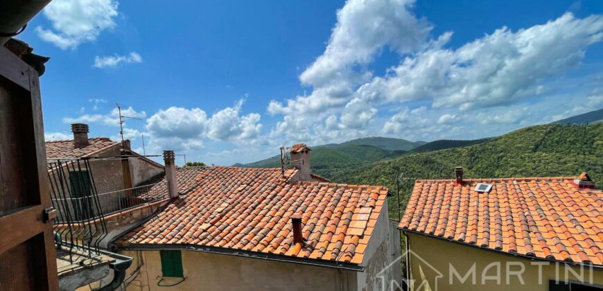 Semi Detached House For Sale in Tuscany