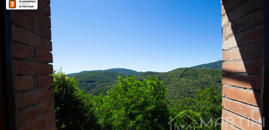 Bilocale Ristrutturato con Vista sul Verde