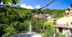 Casa con giardino a Montieri in Vendita