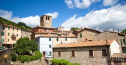 Casa con giardino a Montieri in Vendita