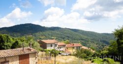 Casa con giardino a Montieri in Vendita