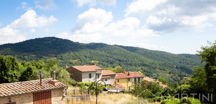 Casa con giardino a Montieri in Vendita