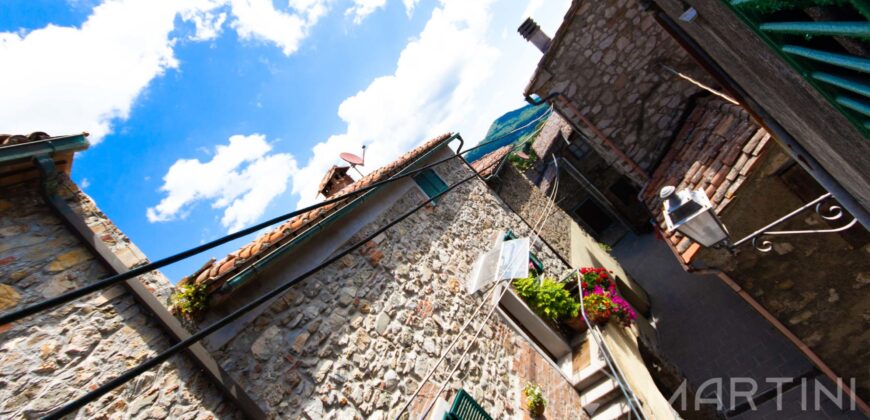 Casa con giardino a Montieri in Vendita