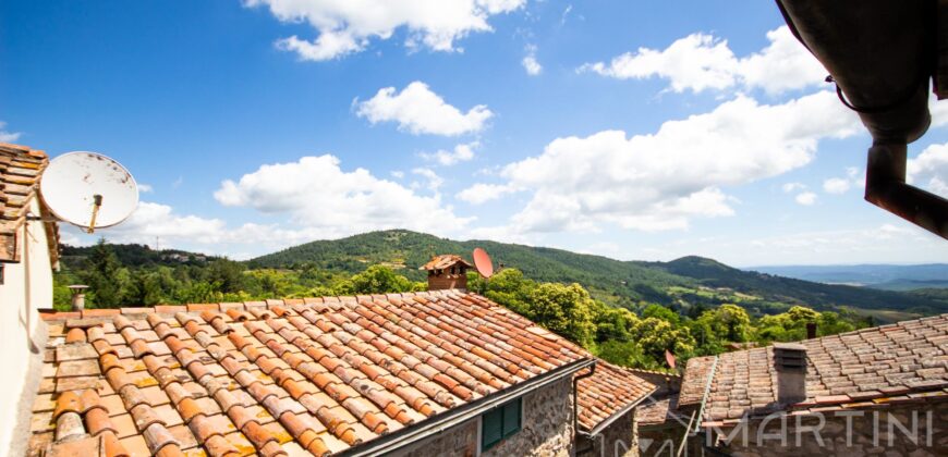 Casa con giardino a Montieri in Vendita