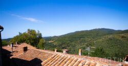 House in Tuscan Village with View and Basement