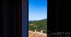 House in Tuscan Village with View and Basement