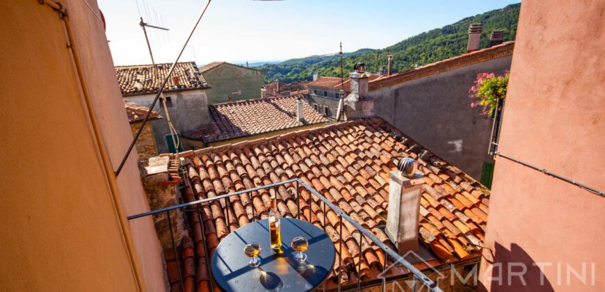 Renovated Apartment with Balcony