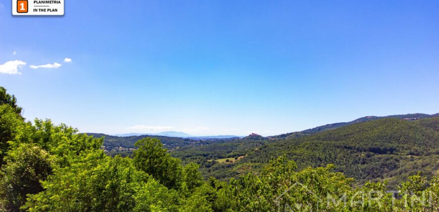 Grande Casa con Doppi Servizi e Vista