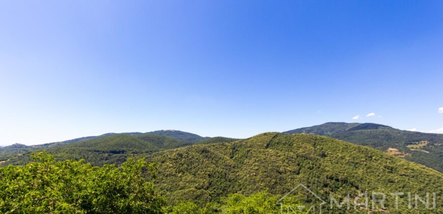 Grande Casa con Doppi Servizi e Vista