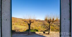 Appartamento Trilocale in Collina con Grande Fondo