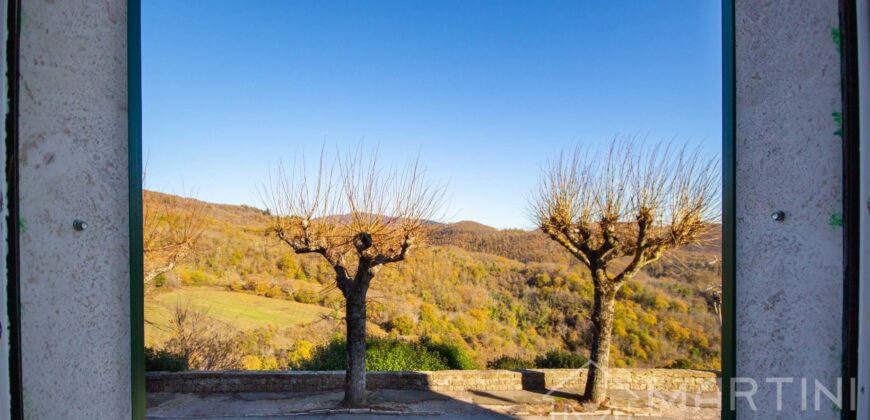 Appartamento Trilocale in Collina con Grande Fondo