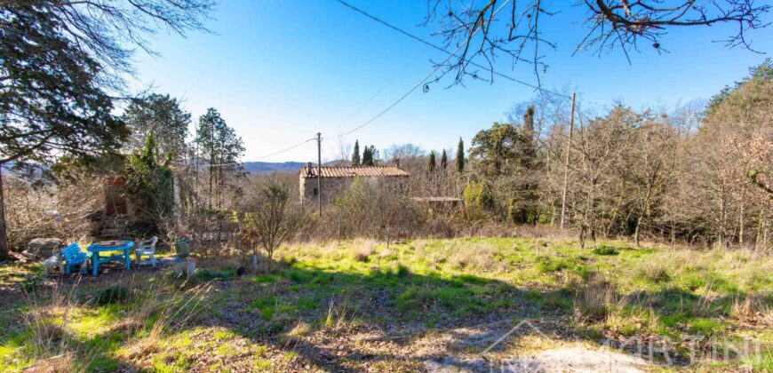 Appartamento in Campagna con Terreno