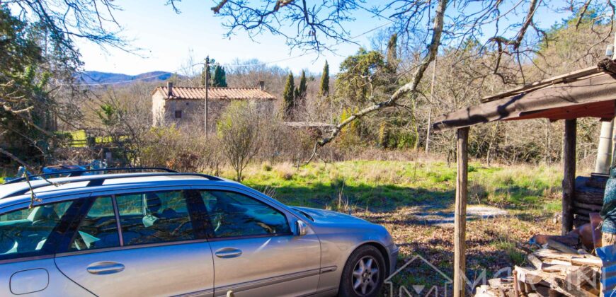 Appartamento in Campagna con Terreno