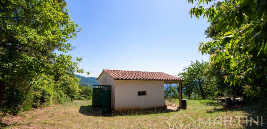 Annesso in Muratura con Terreno e Sorgente