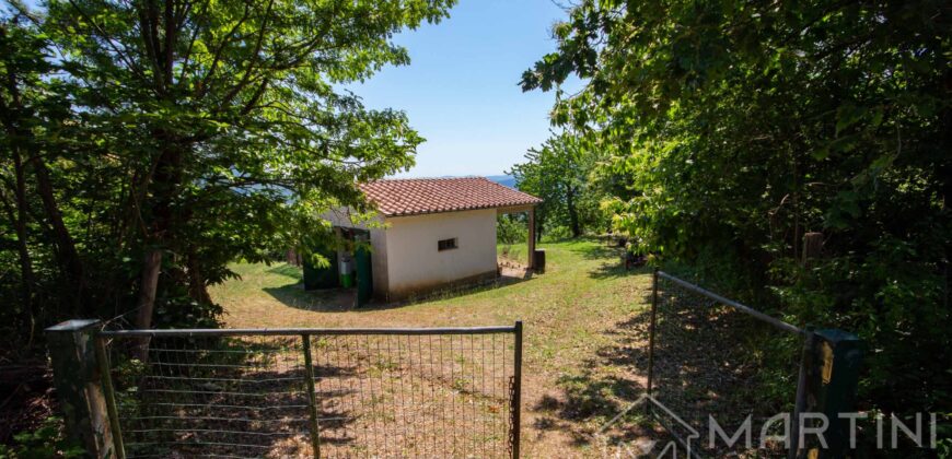 Annesso in Muratura con Terreno e Sorgente