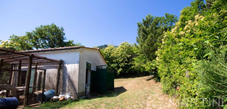 Annesso in Muratura con Terreno e Sorgente