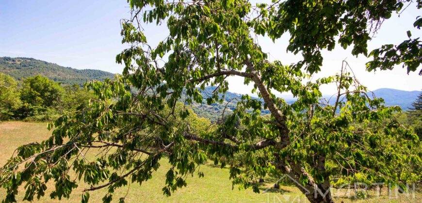 Annesso in Muratura con Terreno e Sorgente