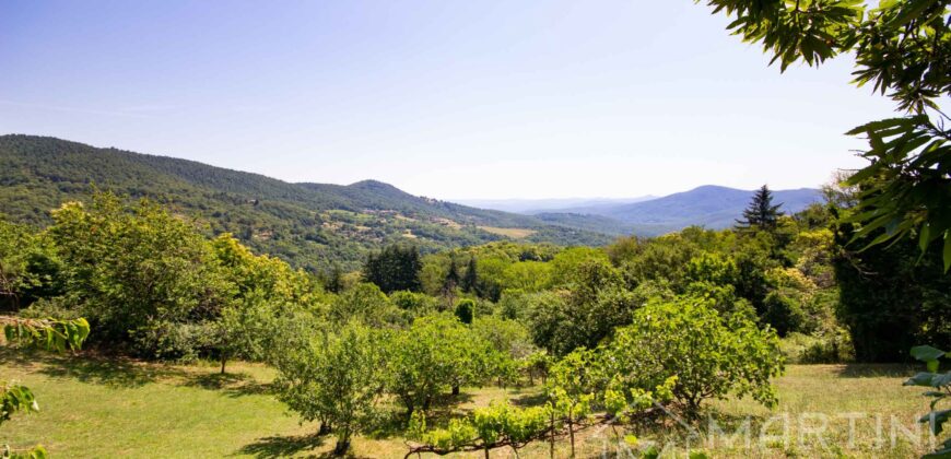 Annesso in Muratura con Terreno e Sorgente