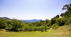 Annesso in Muratura con Terreno e Sorgente