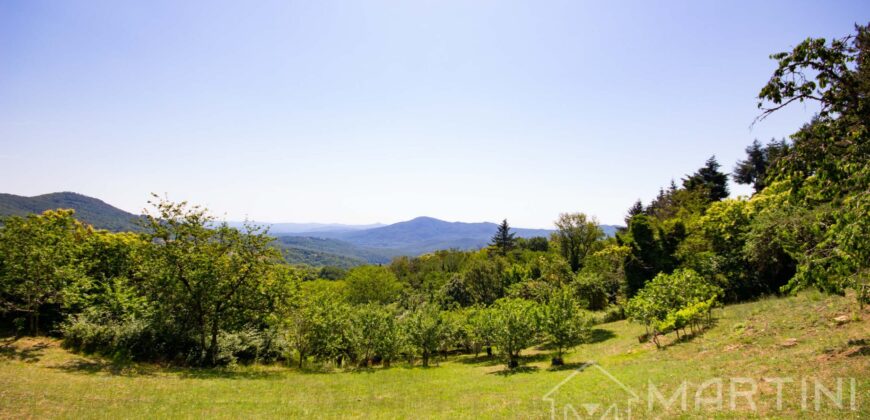 Annesso in Muratura con Terreno e Sorgente