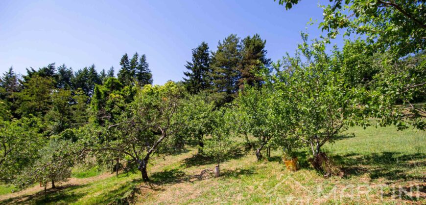 Annesso in Muratura con Terreno e Sorgente