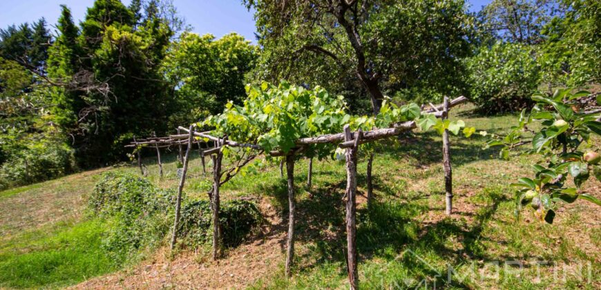 Annesso in Muratura con Terreno e Sorgente