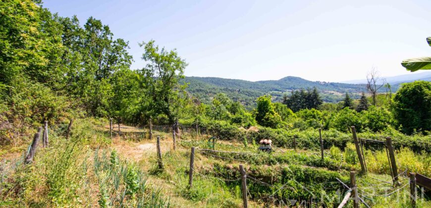 Annesso in Muratura con Terreno e Sorgente