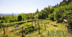 Annesso in Muratura con Terreno e Sorgente