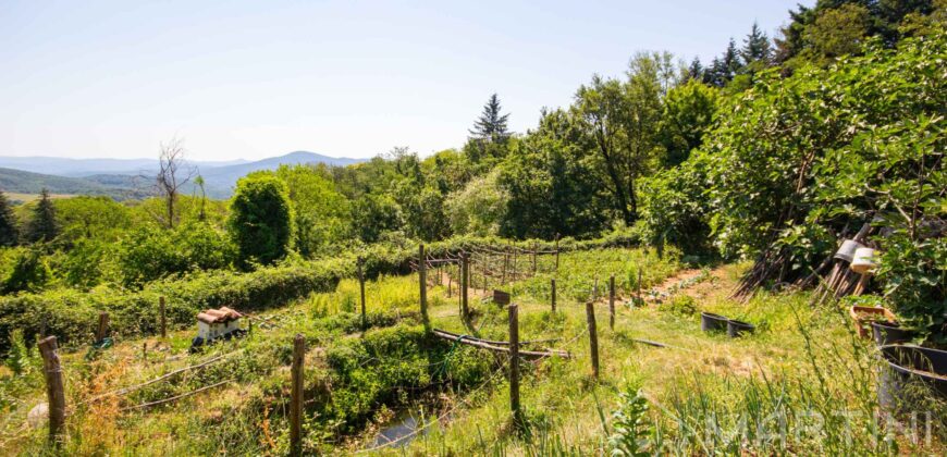 Annesso in Muratura con Terreno e Sorgente