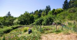 Annesso in Muratura con Terreno e Sorgente