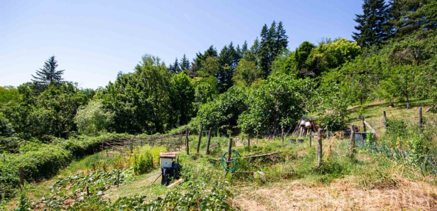 Annesso in Muratura con Terreno e Sorgente