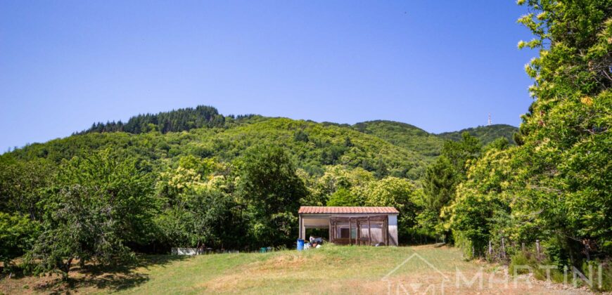 Annesso in Muratura con Terreno e Sorgente