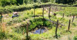 Annesso in Muratura con Terreno e Sorgente