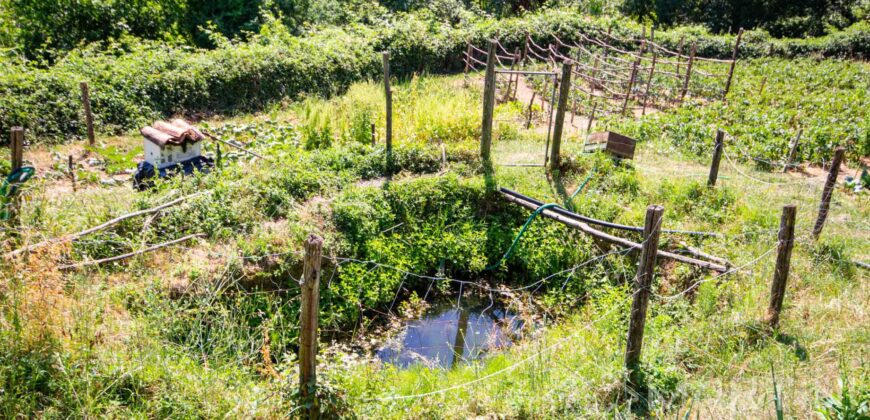 Annesso in Muratura con Terreno e Sorgente