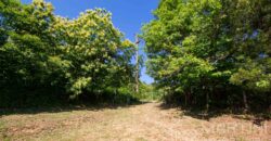 Annesso in Muratura con Terreno e Sorgente