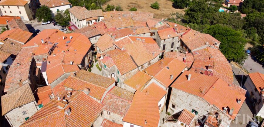 Luxury Apartment with Terrace in Tuscany