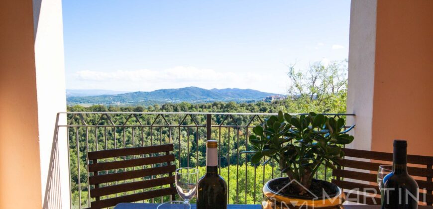 Luxury Apartment with Terrace in Tuscany